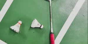 Các Lỗi Chạm Lưới Cầu Lông