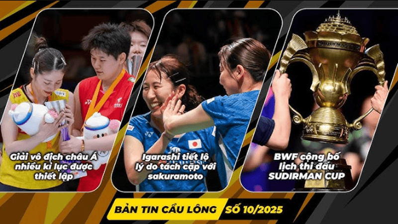 Lịch thi đấu, cập nhật kết quả từng giải và cách tra cứu thông tin